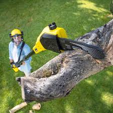 Lawn Pest Prevention in Bealeton, VA